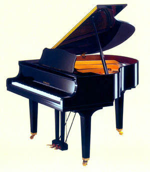   Piano  queue de petite taille


