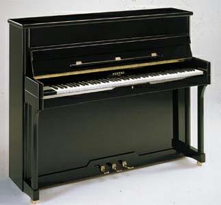   PLEYEL 118
